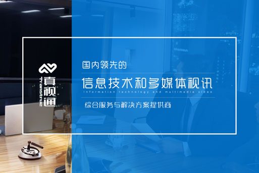 真視通網(wǎng)站建設(shè)案例